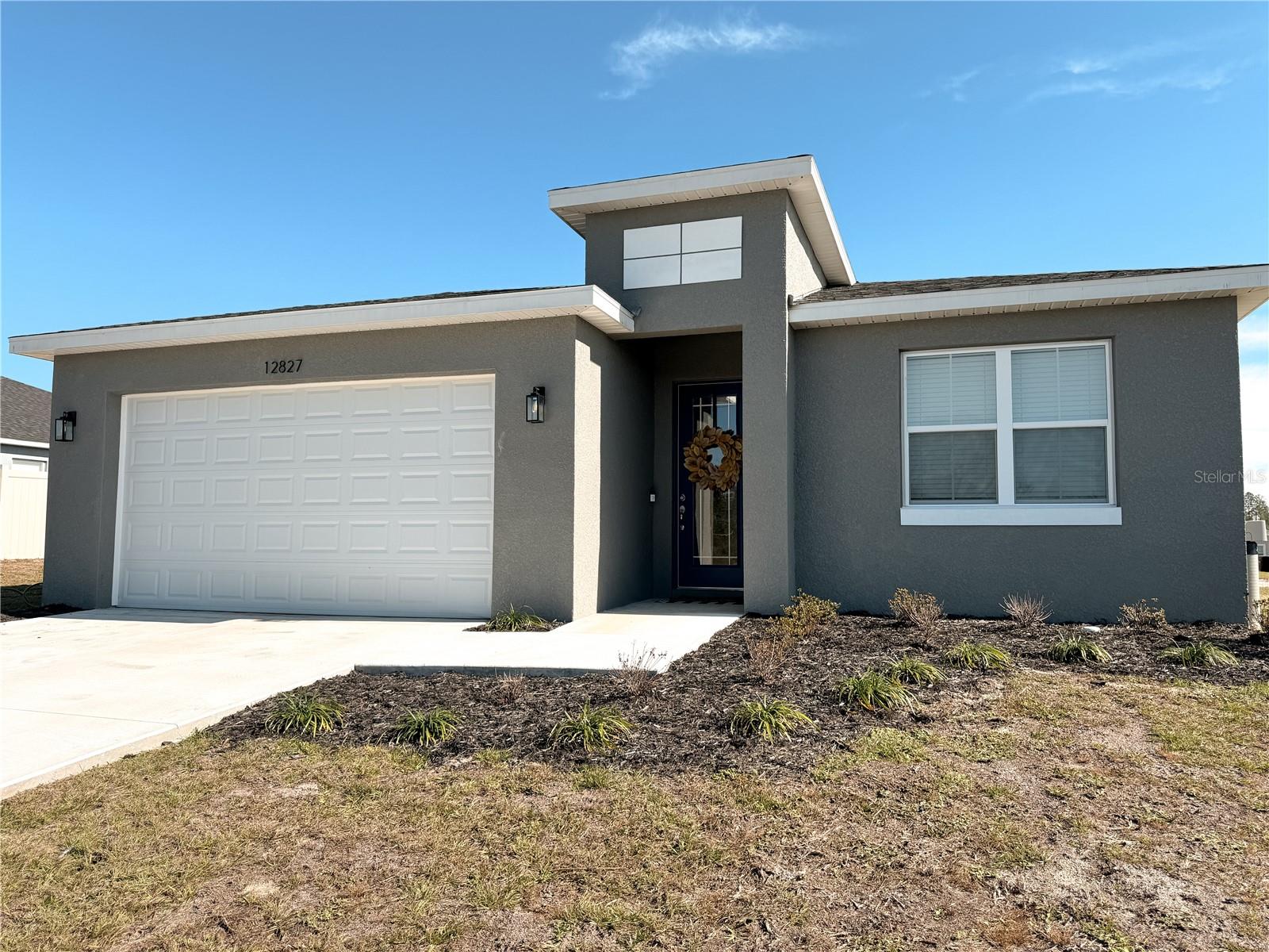 12827 SW 61ST AVE, OCALA, FL, 34473