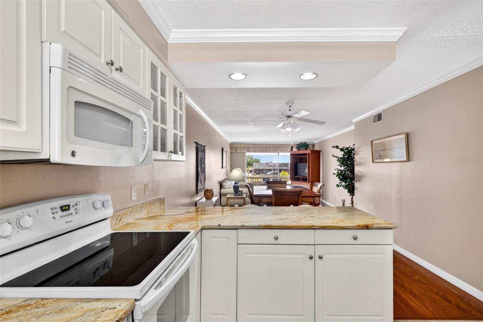 1008 APOLLO BEACH BLVD #206, APOLLO BEACH, FL, 33572