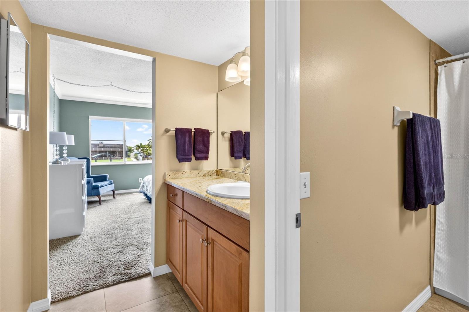 1008 APOLLO BEACH BLVD #206, APOLLO BEACH, FL, 33572