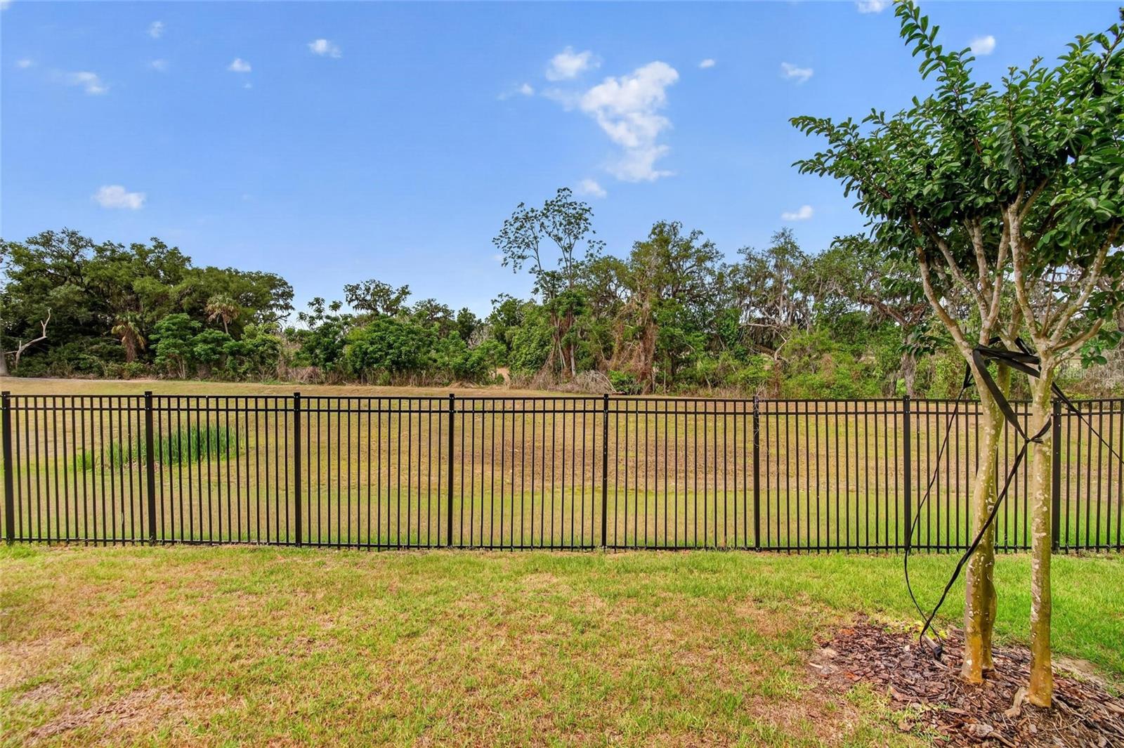 7050 RIPPLE POND LOOP, ZEPHYRHILLS, FL, 33541