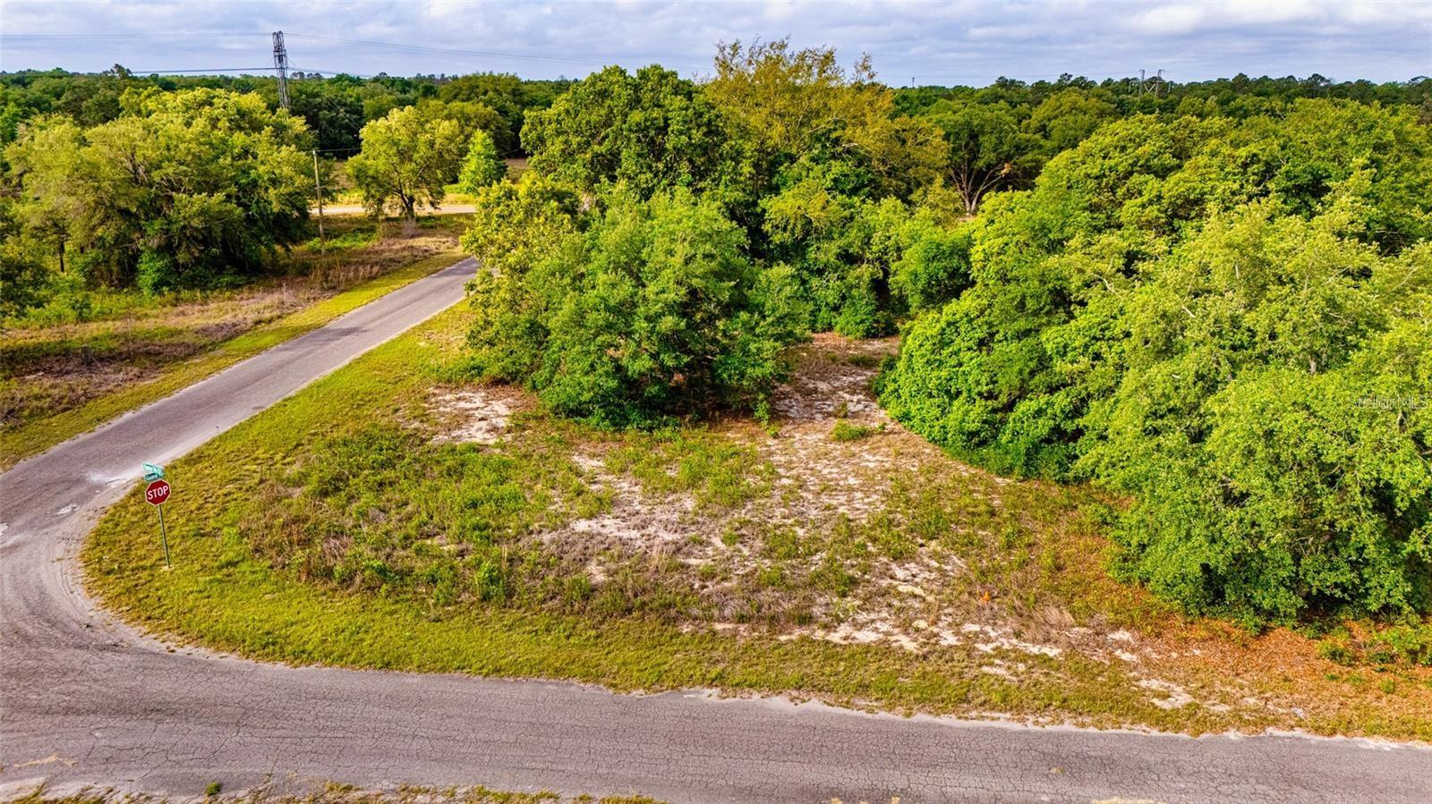 GUAVA TER, OCKLAWAHA, FL, 32179