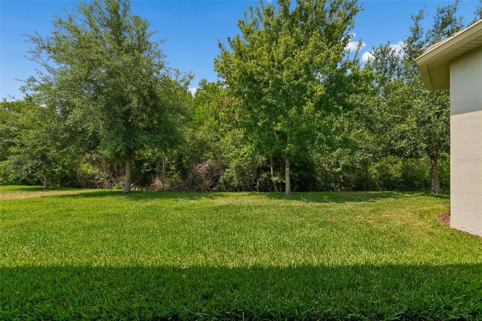 2213 HOLLOW FOREST CT, WESLEY CHAPEL, FL, 33543