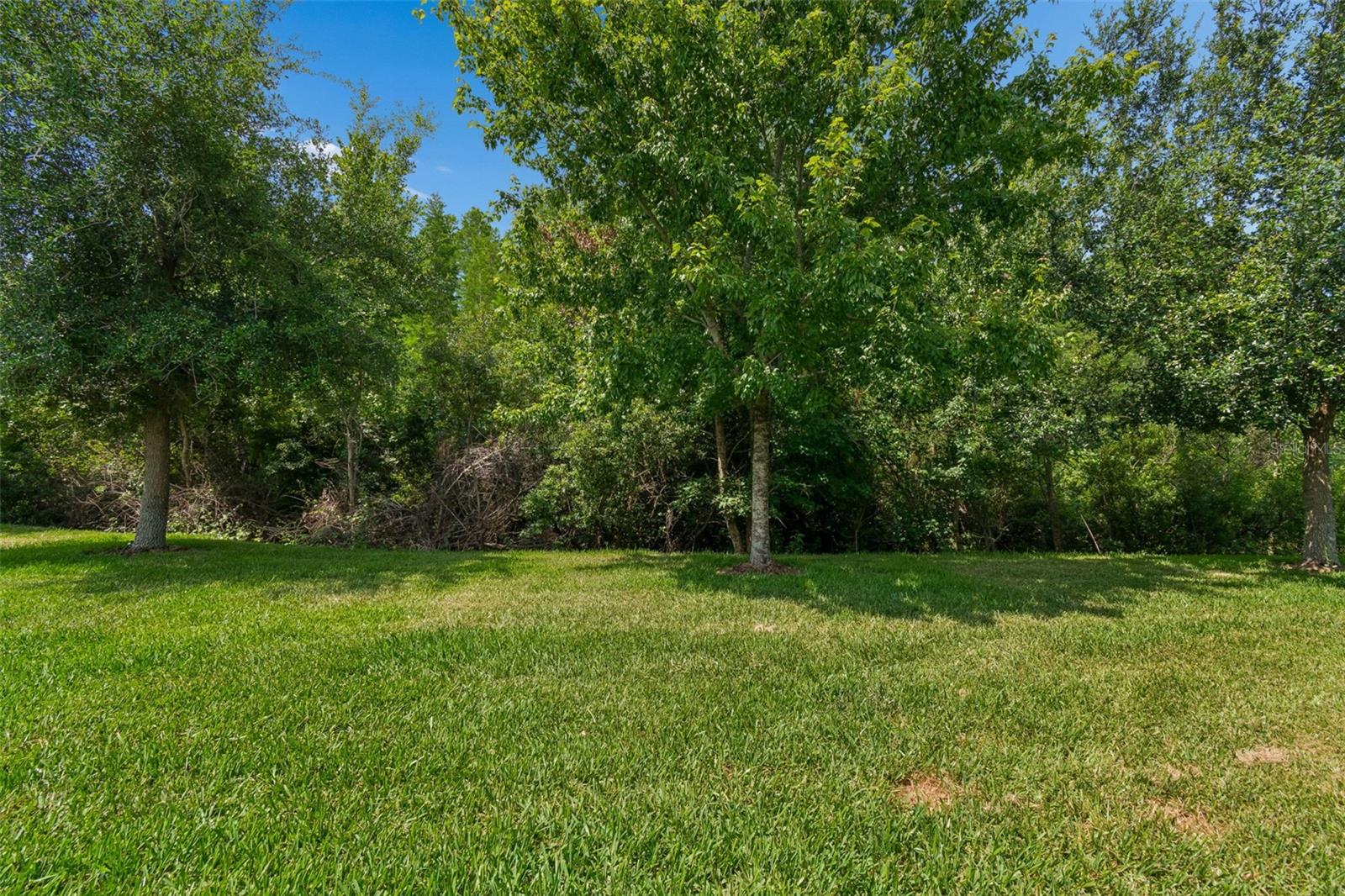 2213 HOLLOW FOREST CT, WESLEY CHAPEL, FL, 33543