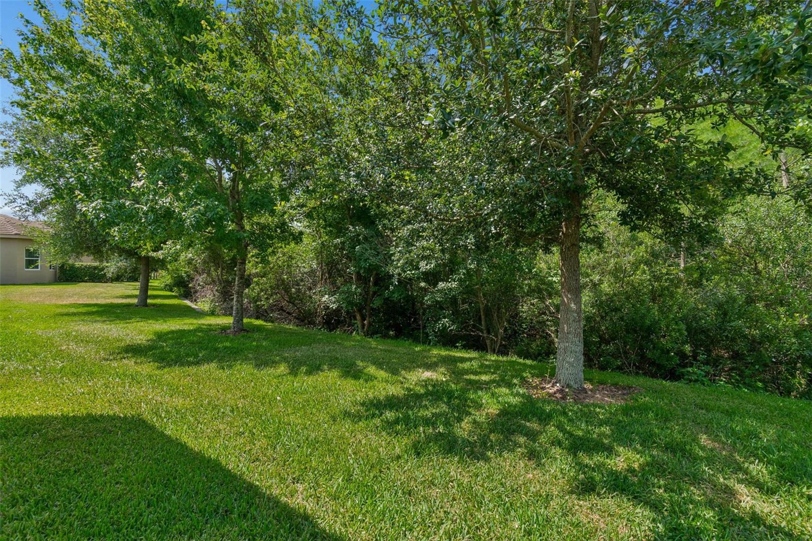 2213 HOLLOW FOREST CT, WESLEY CHAPEL, FL, 33543