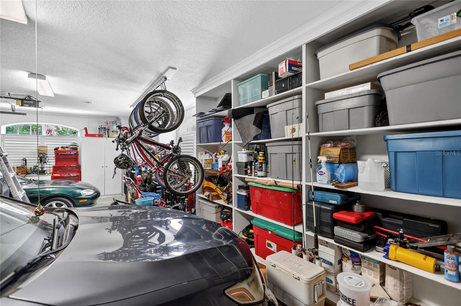 3617 BEECH TREE DR, ORLANDO, FL, 32835