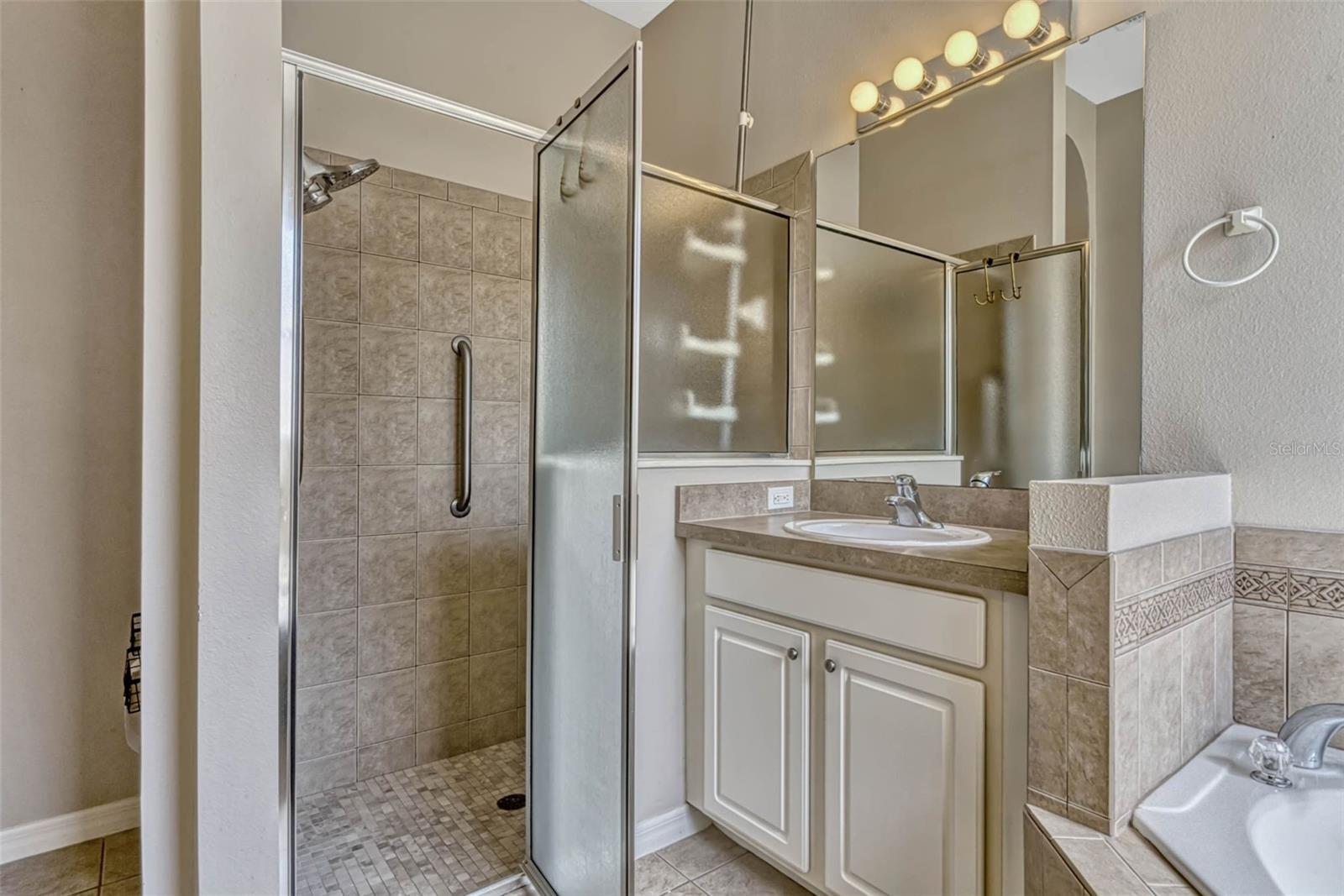 115 CRESCENT MOON DR, GROVELAND, FL, 34736