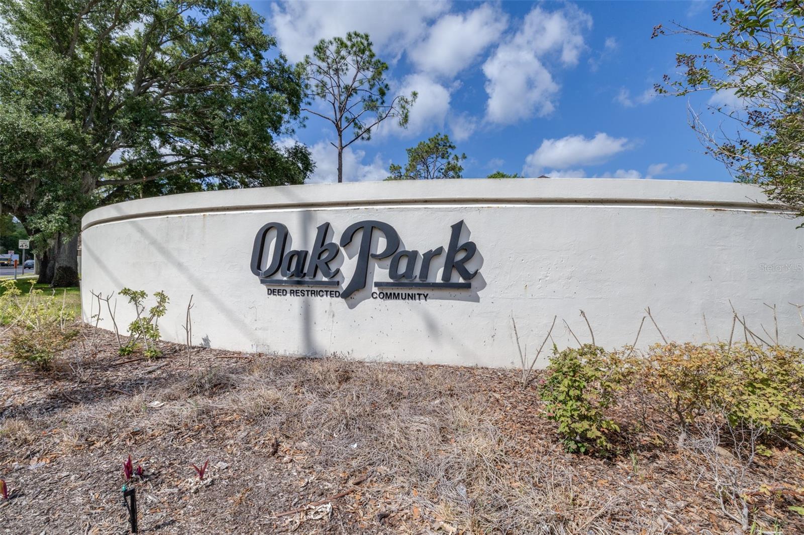 709 OAK PARK PL, BRANDON, FL, 33511
