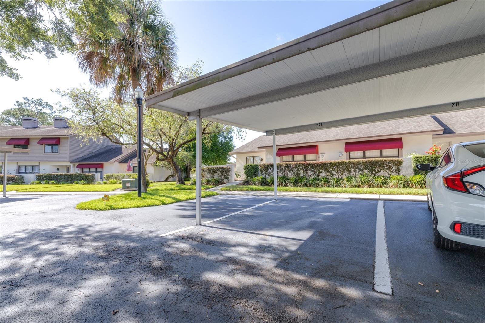709 OAK PARK PL, BRANDON, FL, 33511