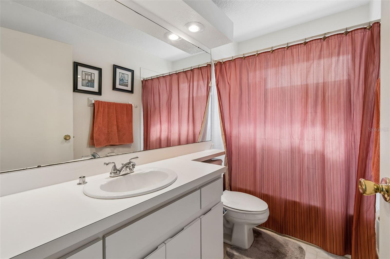 11223 BRAMBLEBRUSH ST, TAMPA, FL, 33624