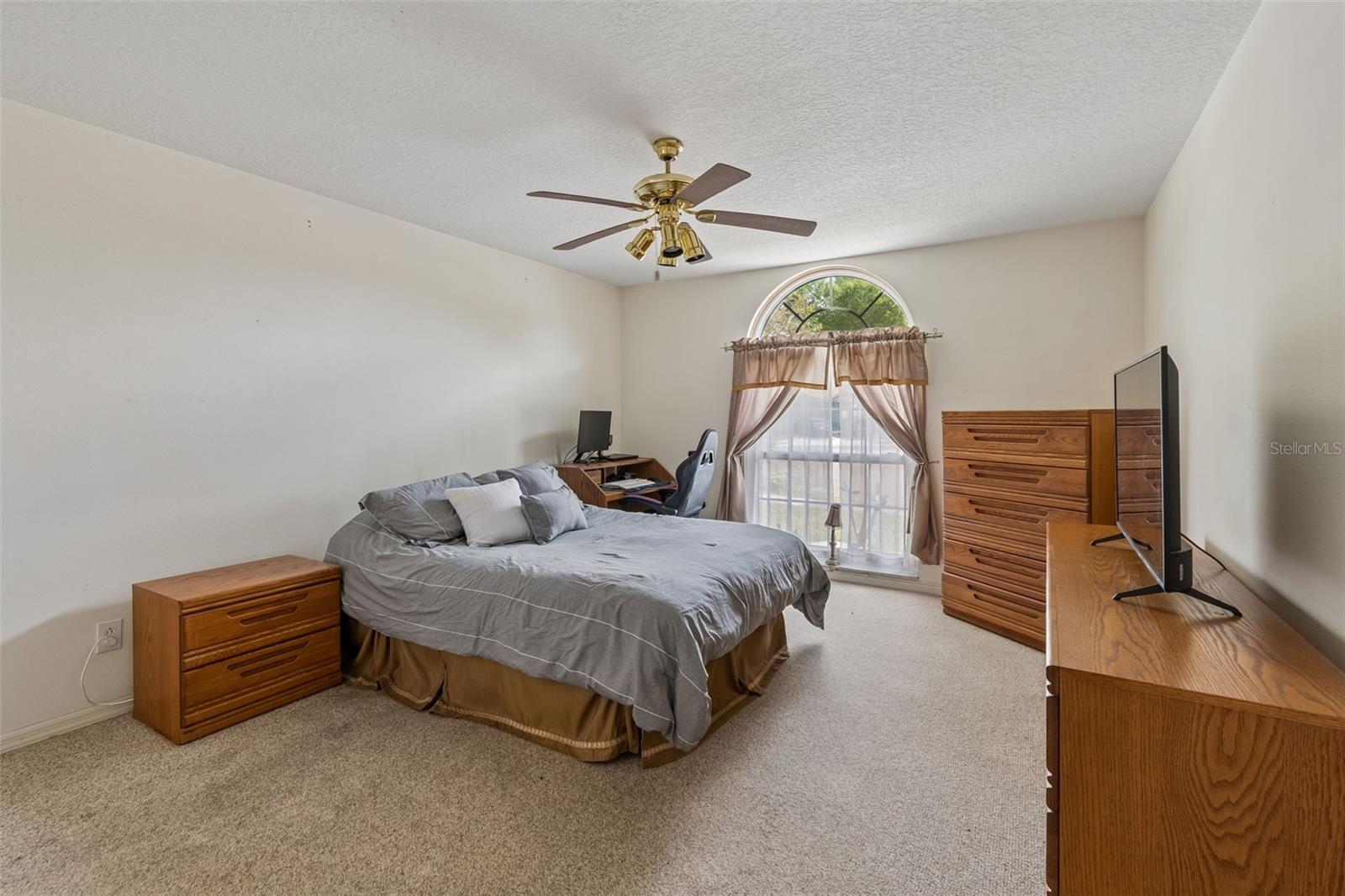 11223 BRAMBLEBRUSH ST, TAMPA, FL, 33624