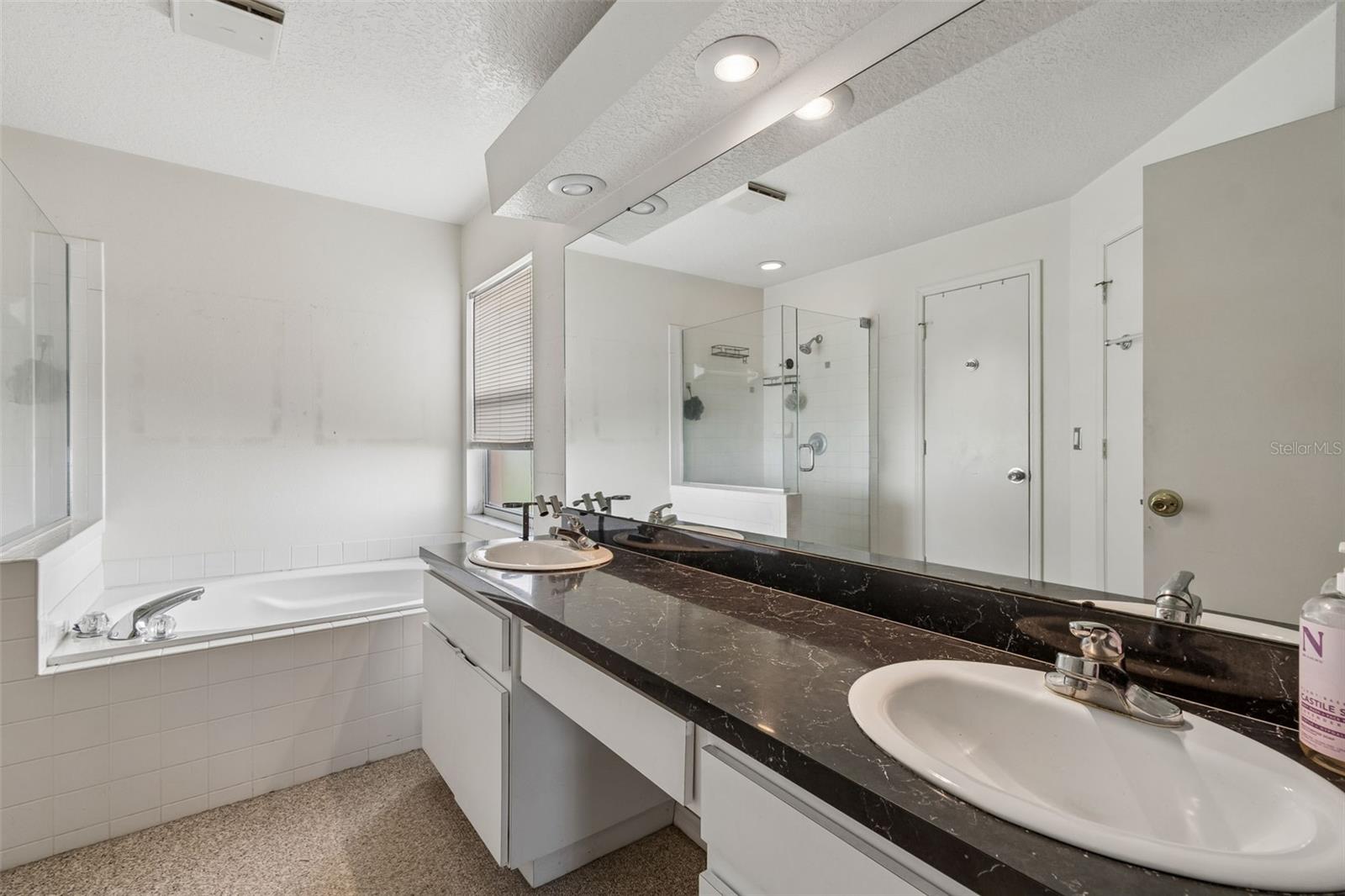 11223 BRAMBLEBRUSH ST, TAMPA, FL, 33624