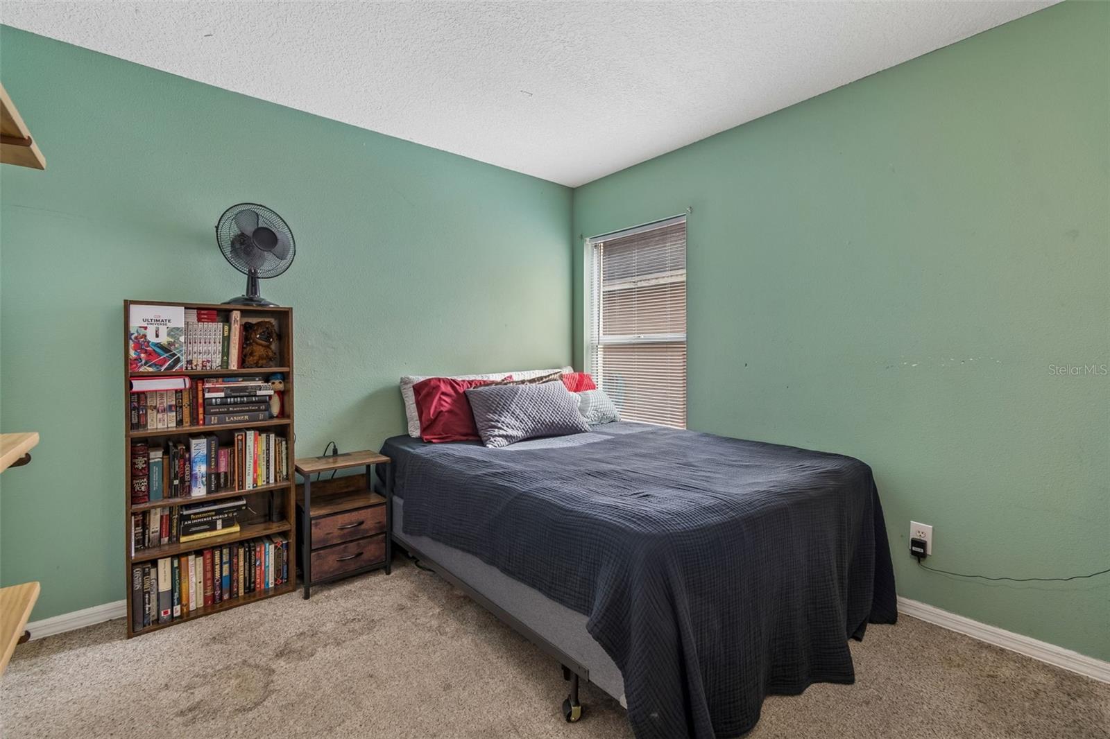 11223 BRAMBLEBRUSH ST, TAMPA, FL, 33624