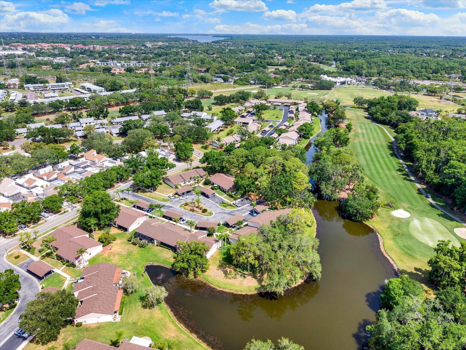 EAST LAKE WOODLANDS CLUSTER HOMES, OLDSMAR, FL, 34677