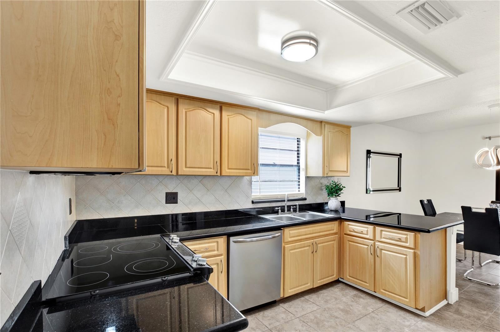 EAST LAKE WOODLANDS CLUSTER HOMES, OLDSMAR, FL, 34677