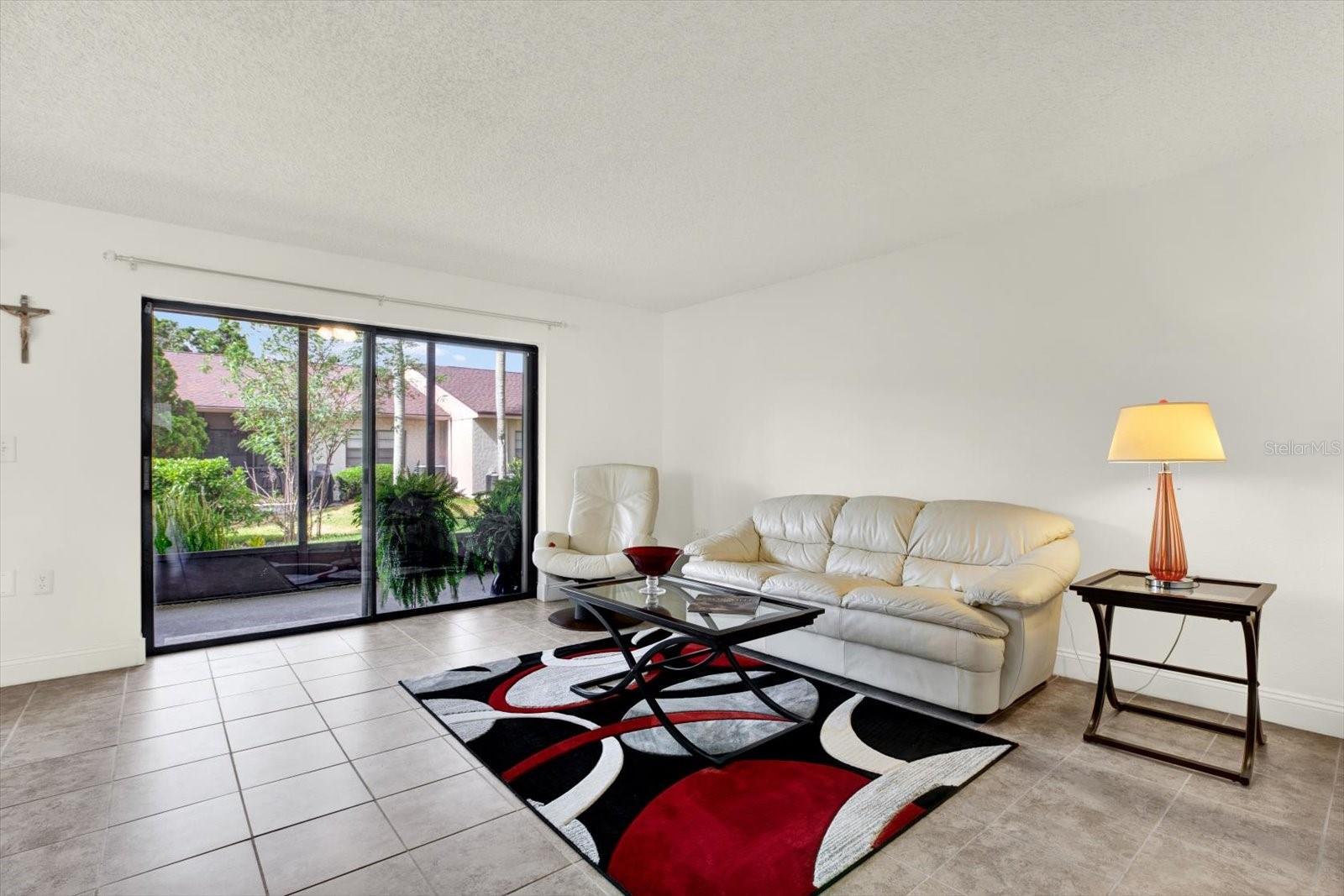 EAST LAKE WOODLANDS CLUSTER HOMES, OLDSMAR, FL, 34677