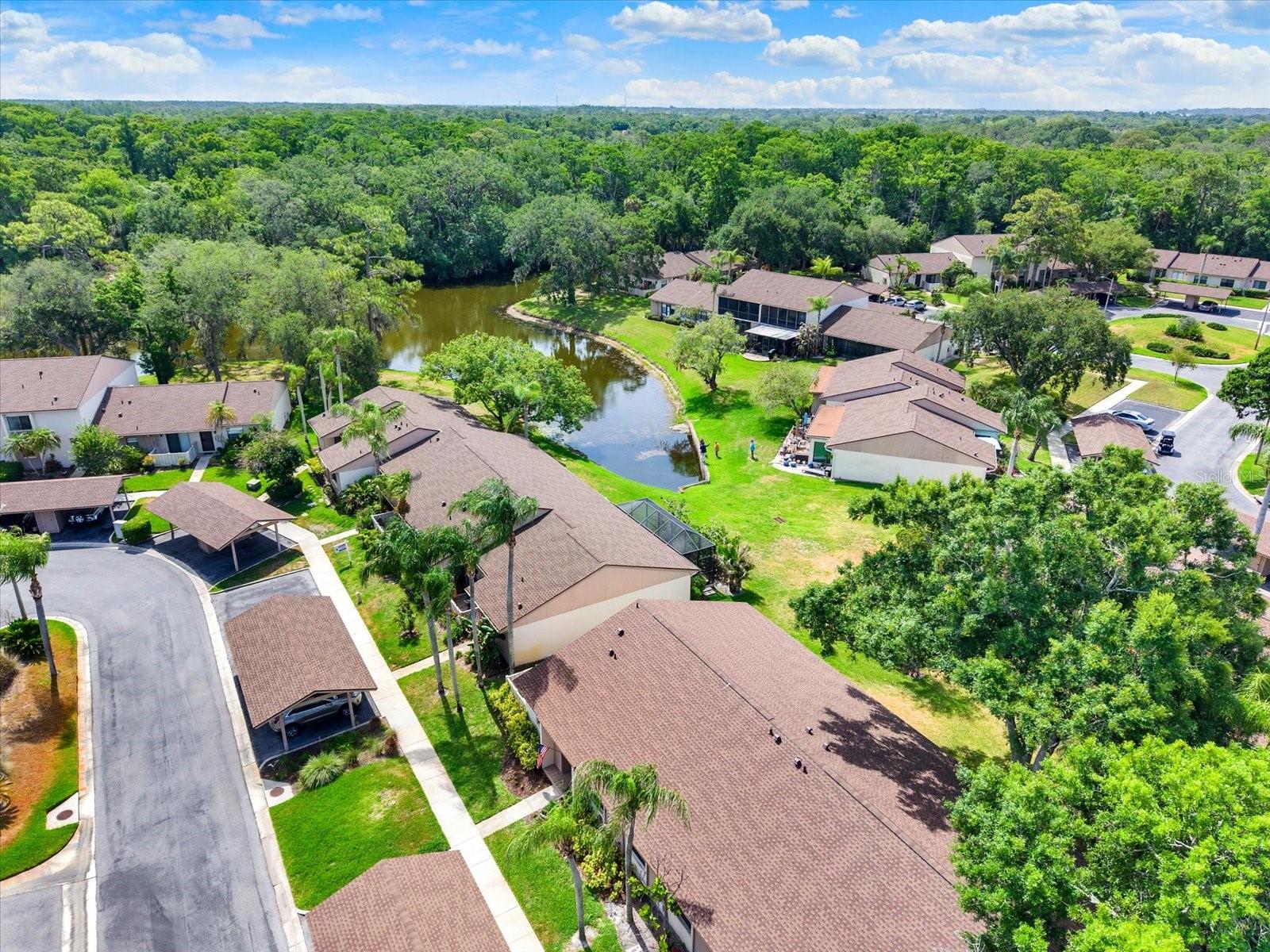 EAST LAKE WOODLANDS CLUSTER HOMES, OLDSMAR, FL, 34677