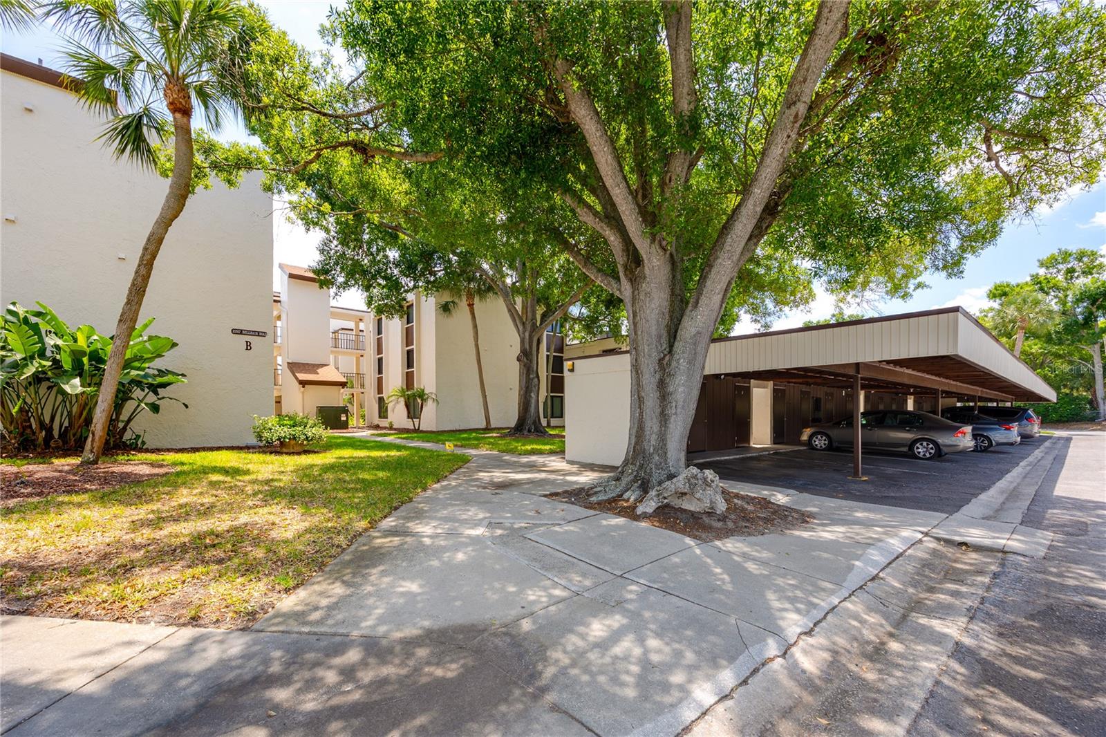 2207 BELLEAIR RD #B30, CLEARWATER, FL, 33764