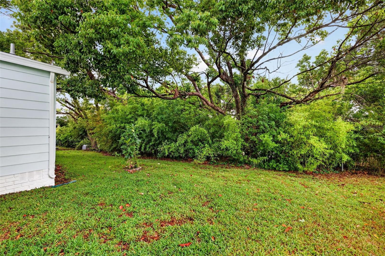 1507 E SCHWARTZ BLVD, THE VILLAGES, FL, 32159