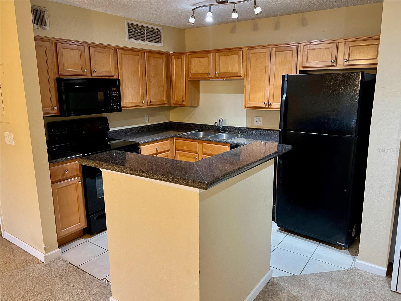 375 LAKE ONTARIO CT #203, ALTAMONTE SPRINGS, FL, 32701