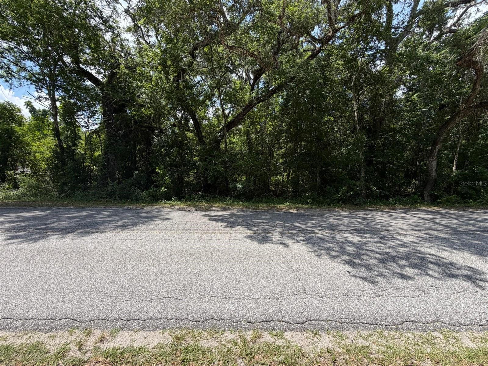 0 CR 656, WEBSTER, FL, 33597