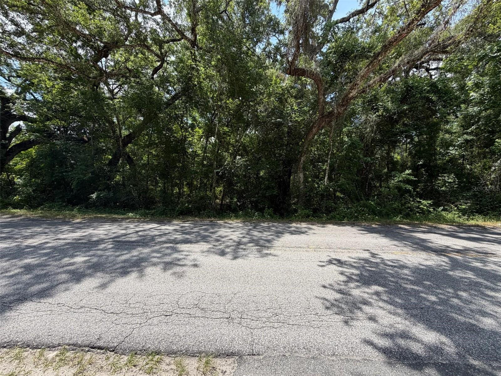 0 CR 656, WEBSTER, FL, 33597