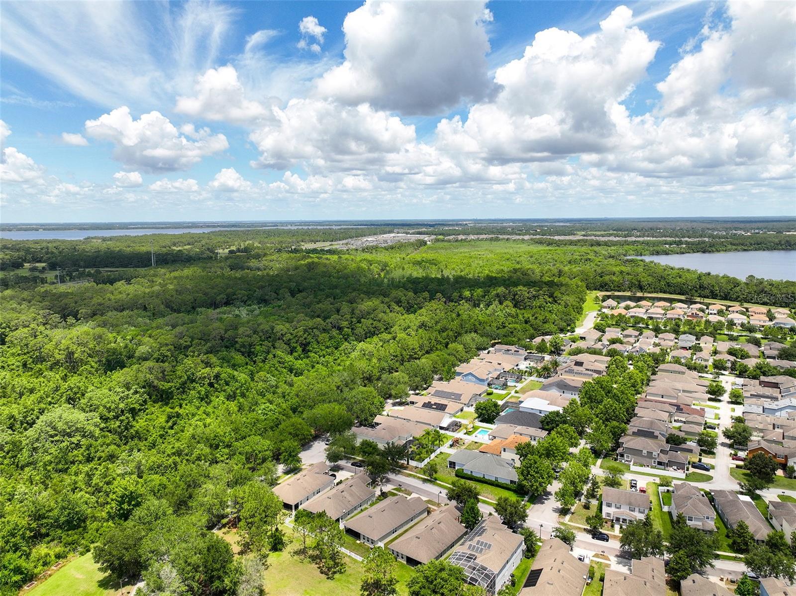 6804 GOLDFLOWER AVE, ST CLOUD, FL, 34773