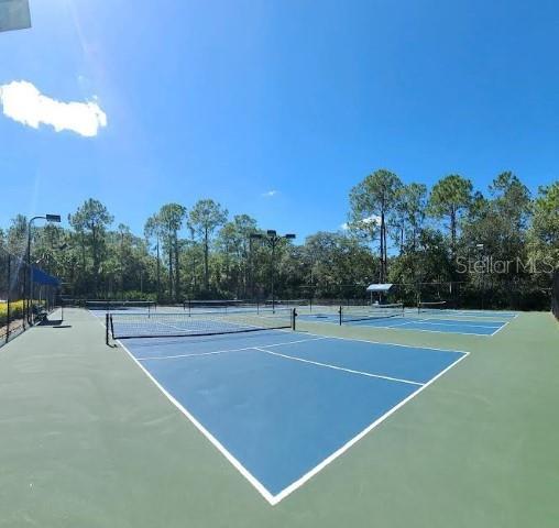 12415 BERKELEY SQUARE DR, TAMPA, FL, 33626