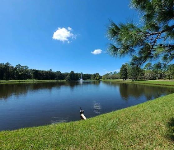 12415 BERKELEY SQUARE DR, TAMPA, FL, 33626