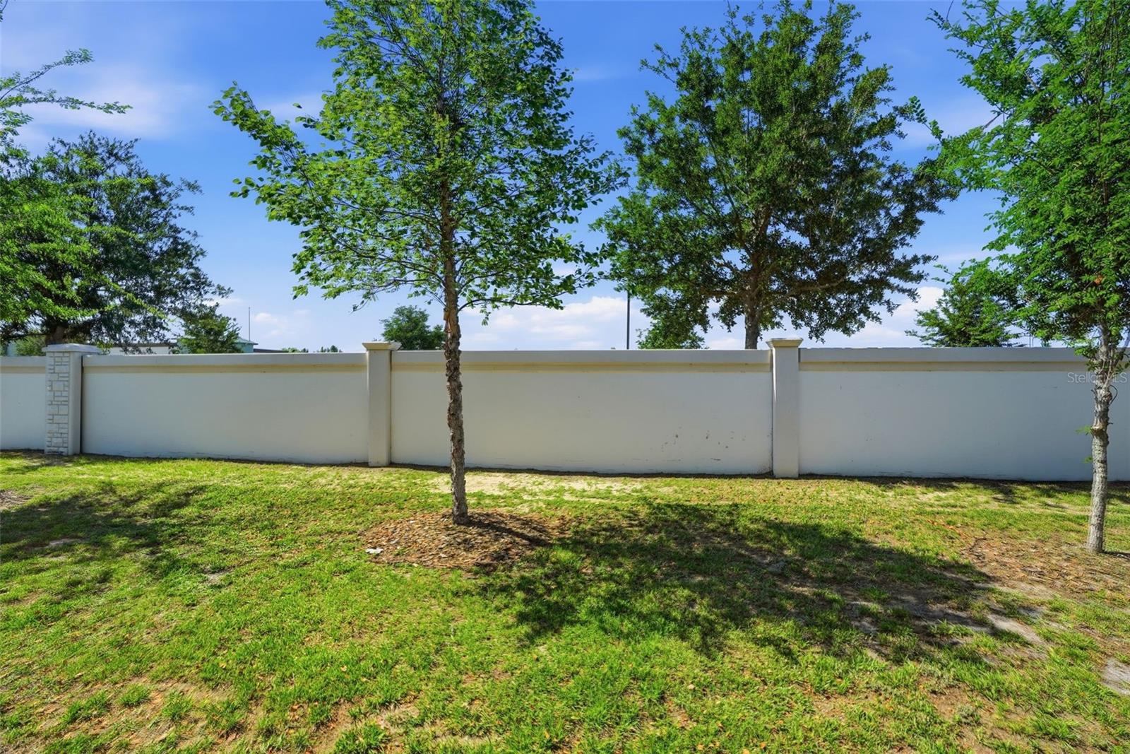 5267 DRAGONFLY DR, WILDWOOD, FL, 34785