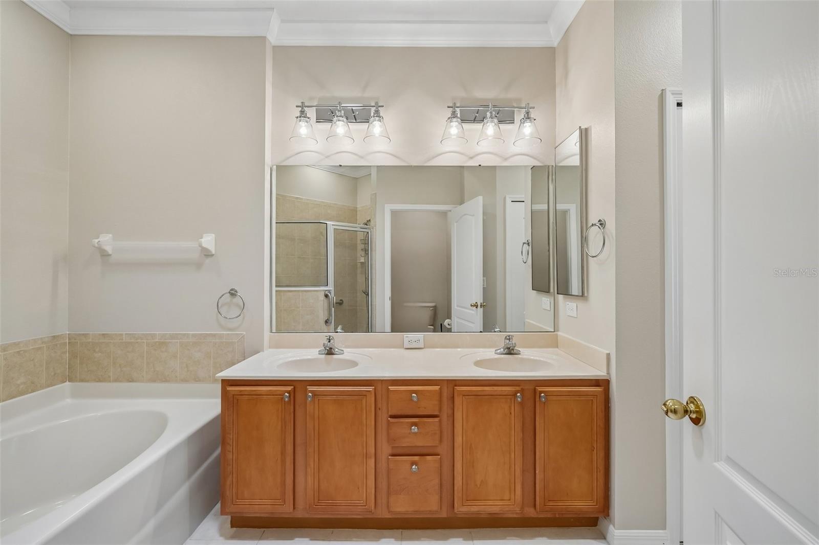 3244 CHAPEL CREEK CIR, WESLEY CHAPEL, FL, 33544