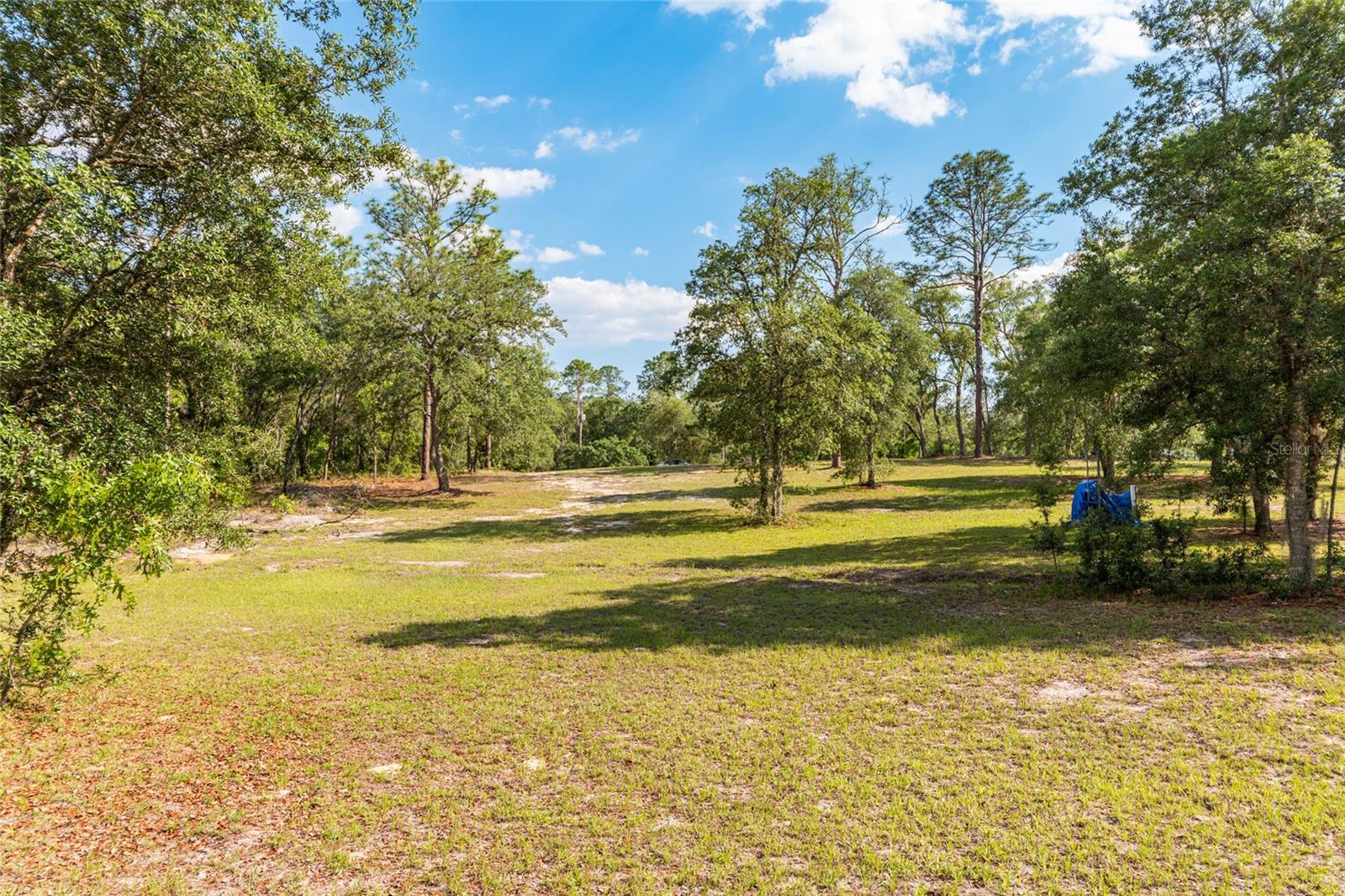 14671 SE 5TH PL, WILLISTON, FL, 32696