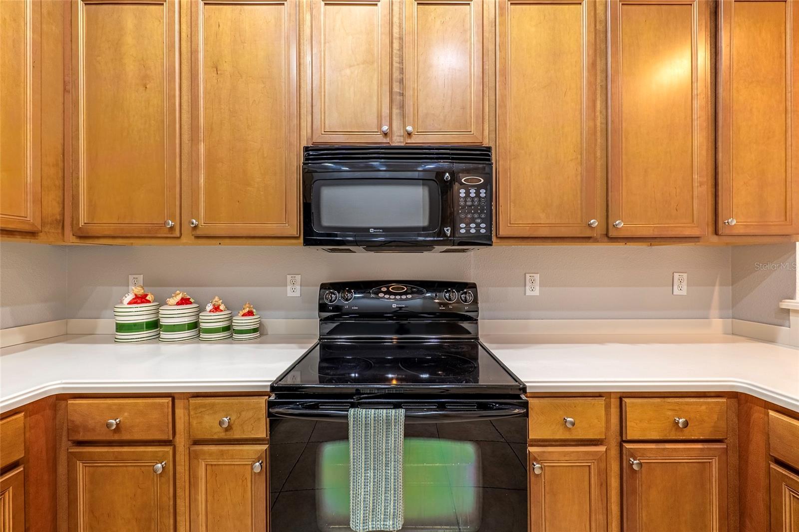 4717 CASSWELL DR, NEW PORT RICHEY, FL, 34652