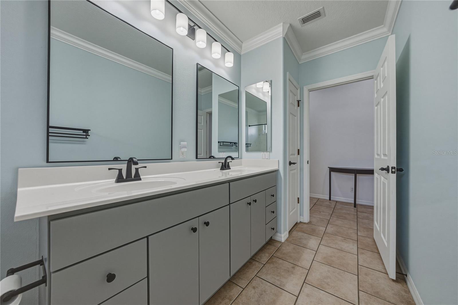6105 AUDUBON MANOR BLVD, LITHIA, FL, 33547