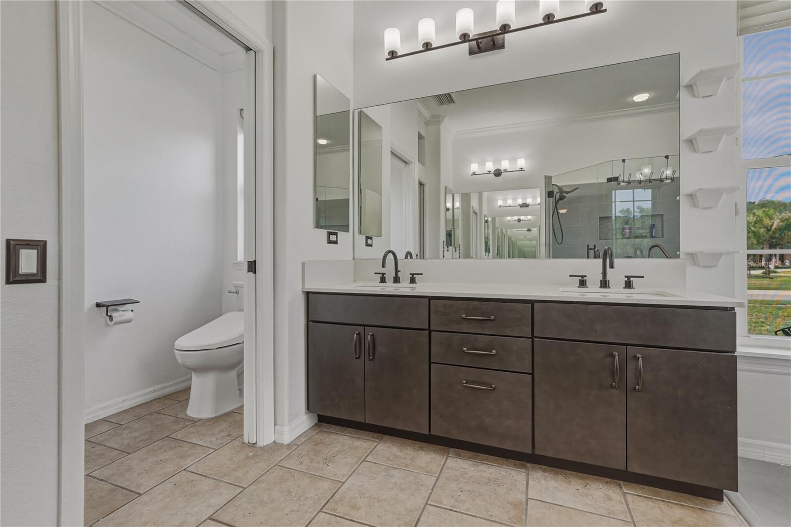 6105 AUDUBON MANOR BLVD, LITHIA, FL, 33547