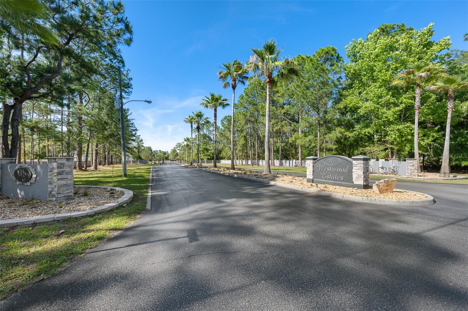 8224 SPRING FOREST LN, WESLEY CHAPEL, FL, 33544