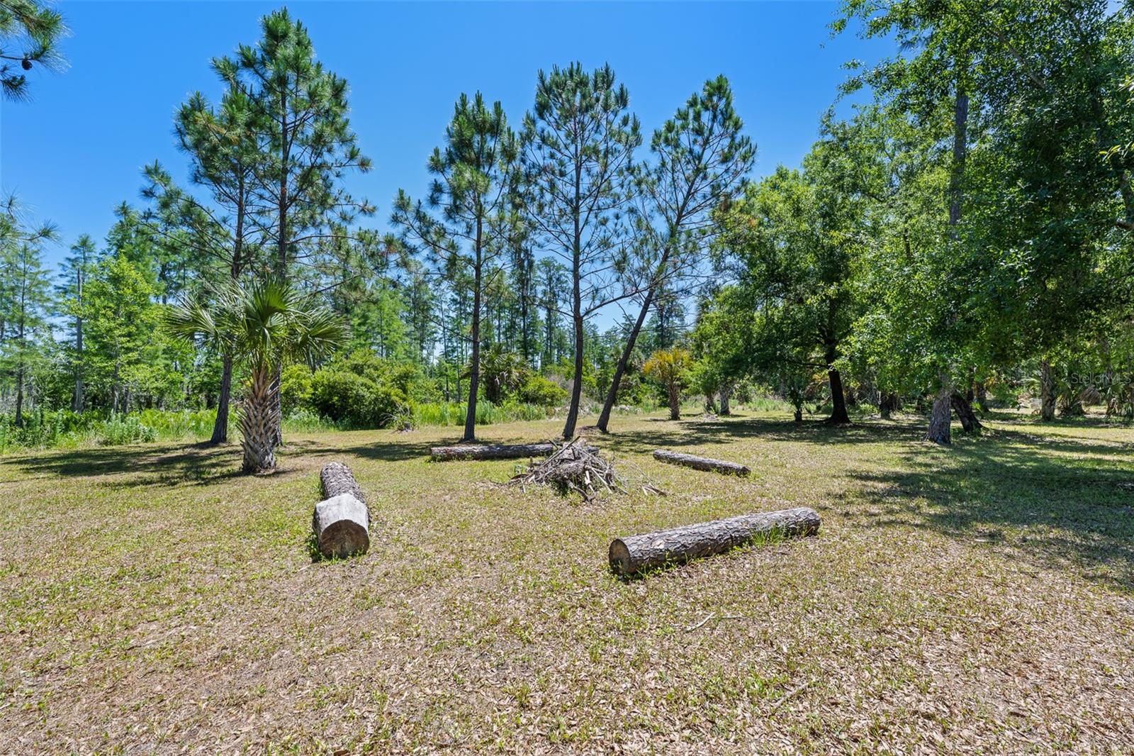 8224 SPRING FOREST LN, WESLEY CHAPEL, FL, 33544