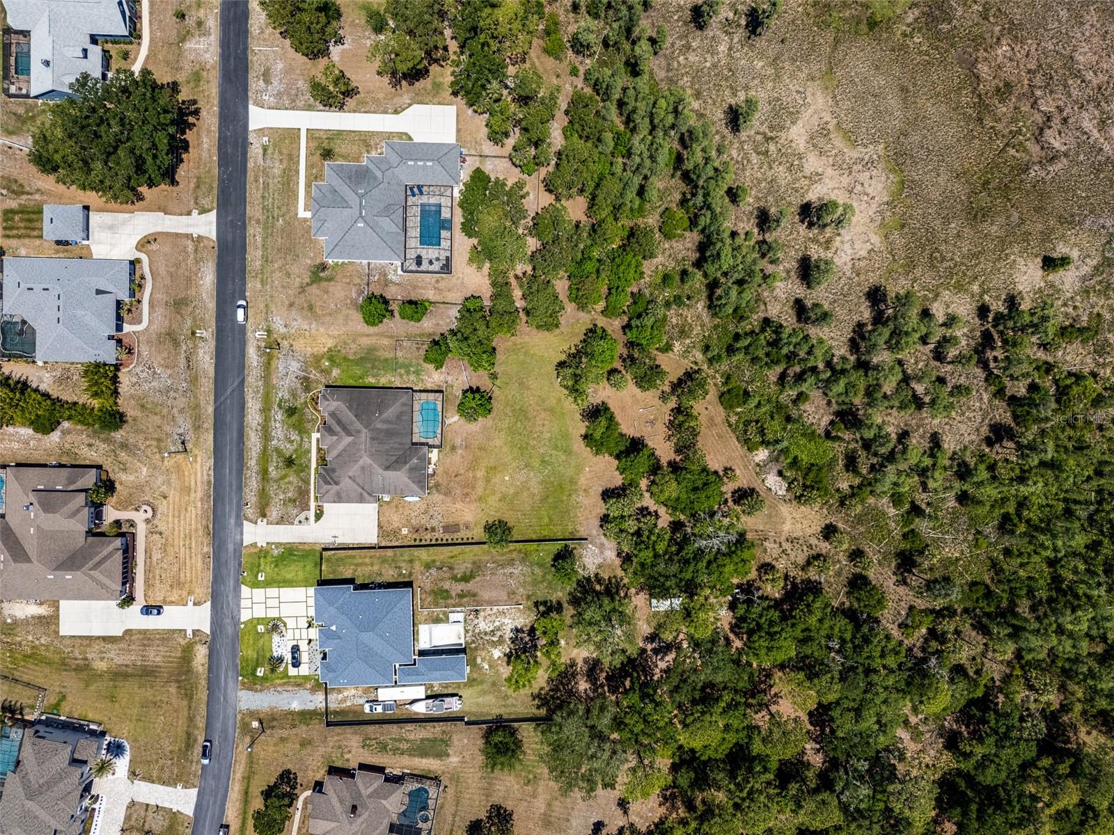 8224 SPRING FOREST LN, WESLEY CHAPEL, FL, 33544