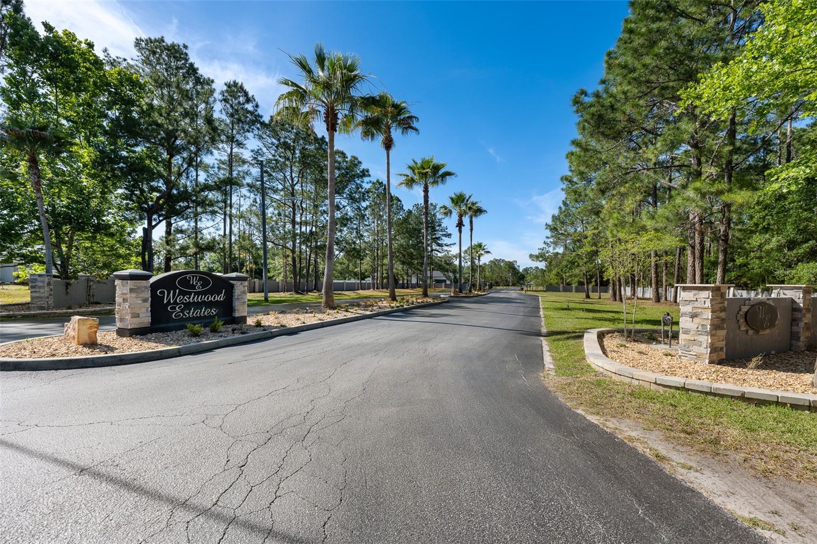 8224 SPRING FOREST LN, WESLEY CHAPEL, FL, 33544