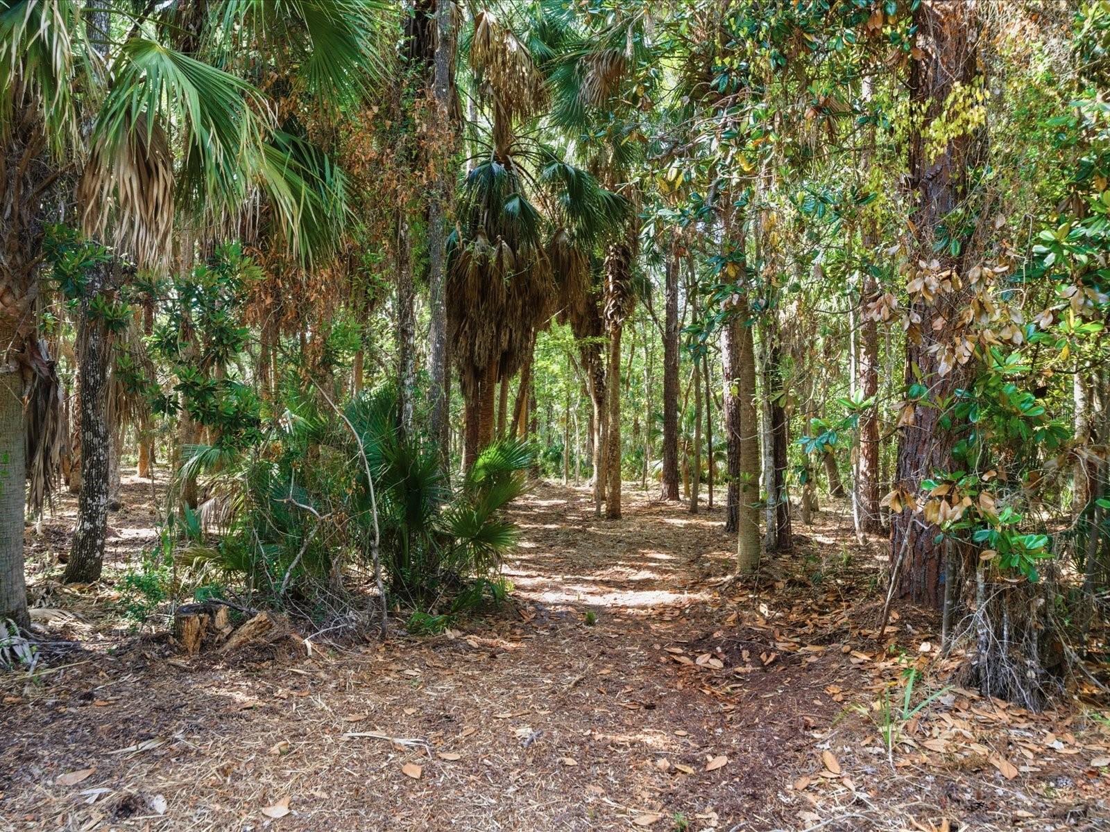 OSOWAW BLVD, SPRING HILL, FL, 34607