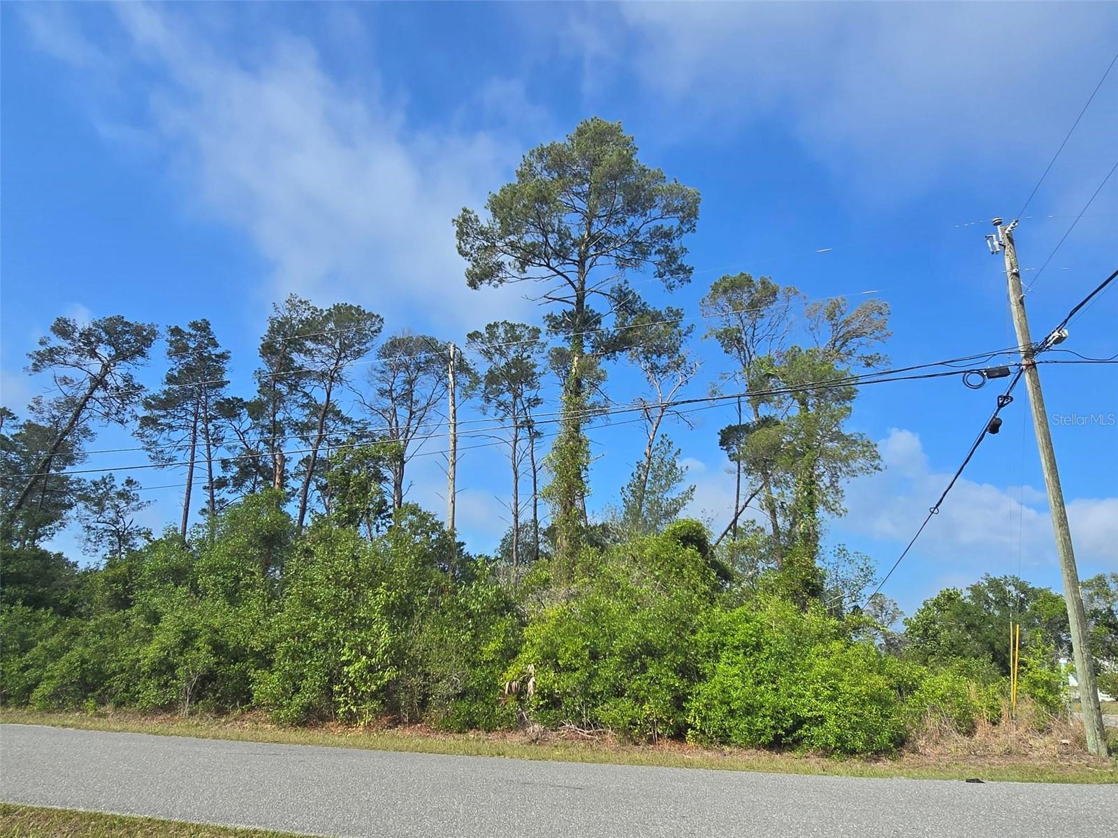 10044 NODDY TERN RD, WEEKI WACHEE, FL, 34613
