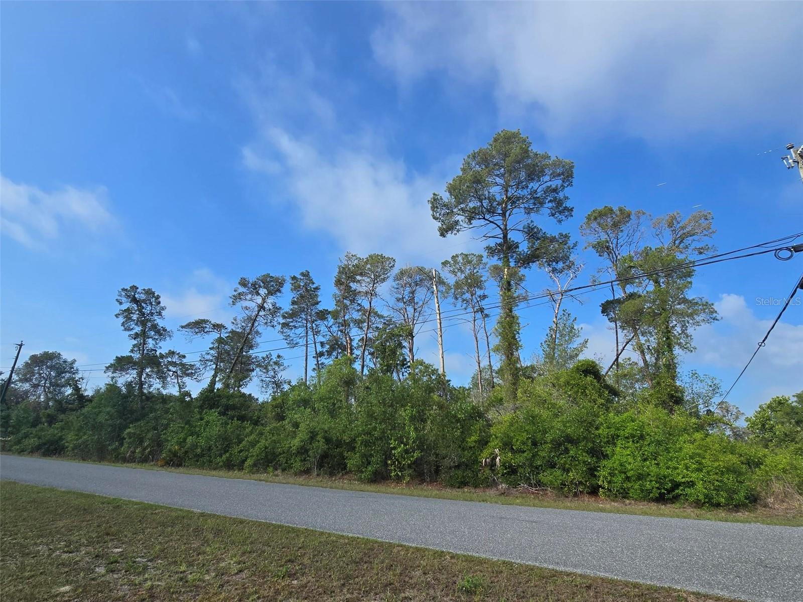 10044 NODDY TERN RD, WEEKI WACHEE, FL, 34613
