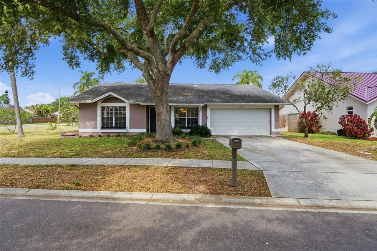 798 COUNTRYSHIRE LN, PALM HARBOR, FL, 34683