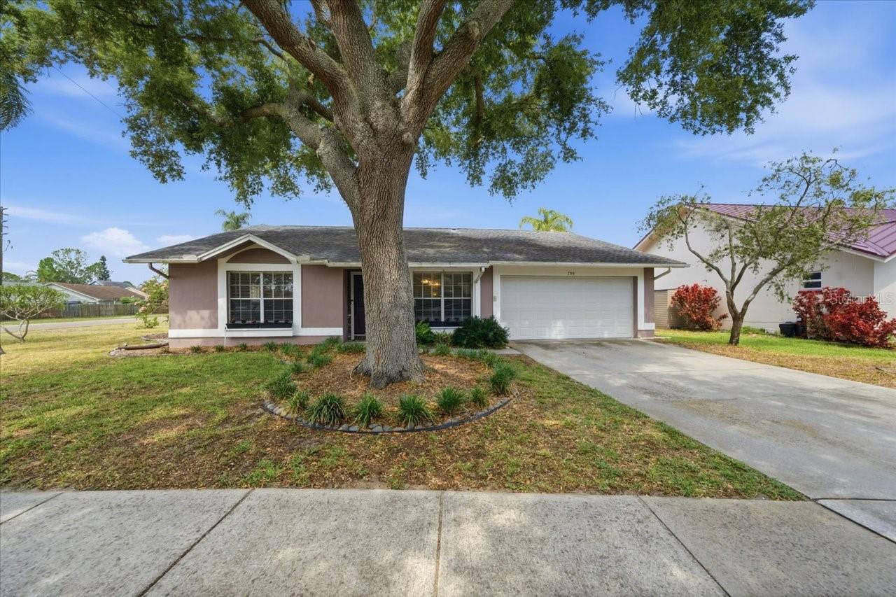 798 COUNTRYSHIRE LN, PALM HARBOR, FL, 34683