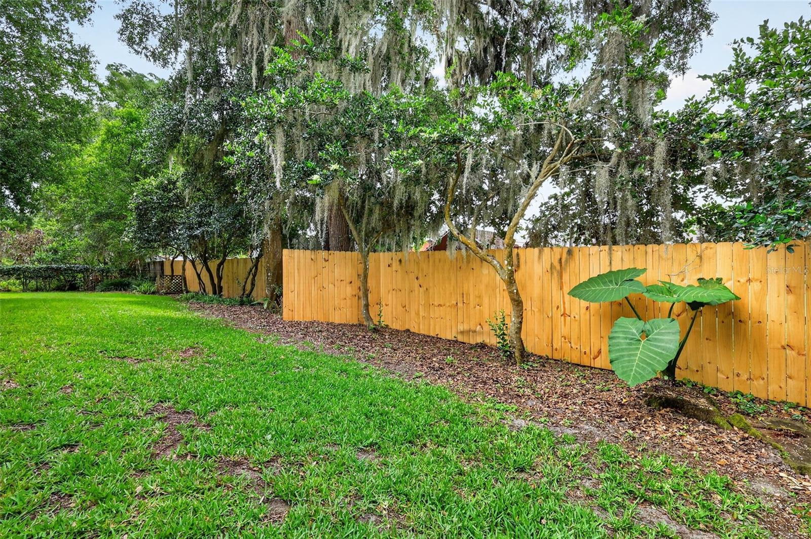 4141 LAKE FOREST ST, MOUNT DORA, FL, 32757