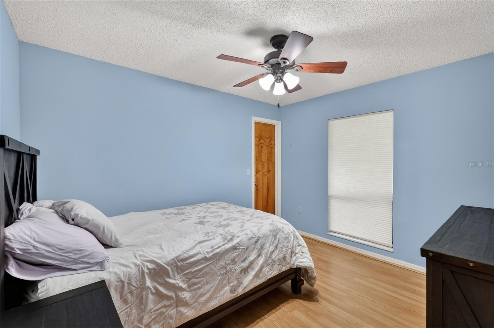 4141 LAKE FOREST ST, MOUNT DORA, FL, 32757