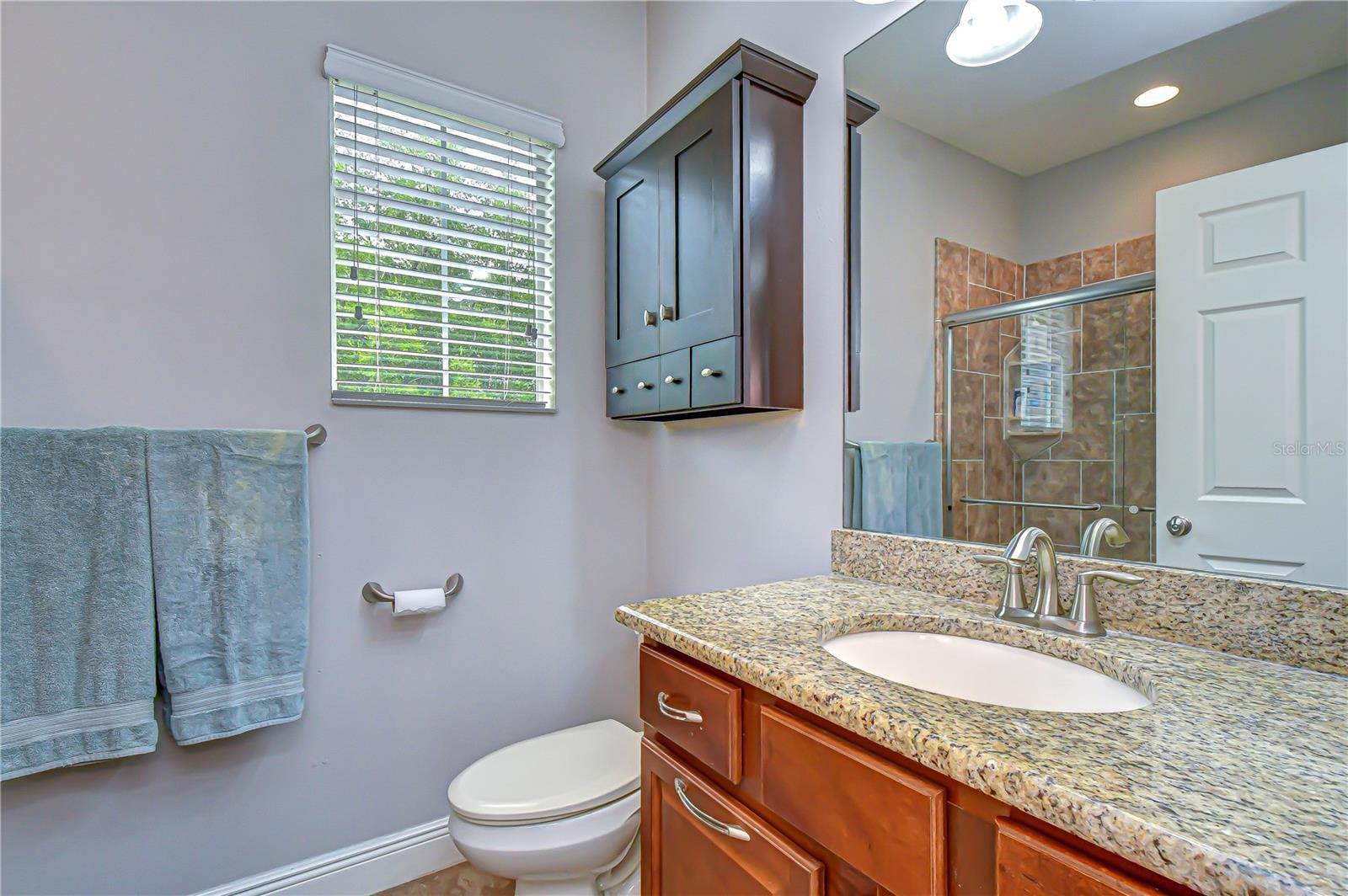 5907 CHURCHSIDE DR, LITHIA, FL, 33547
