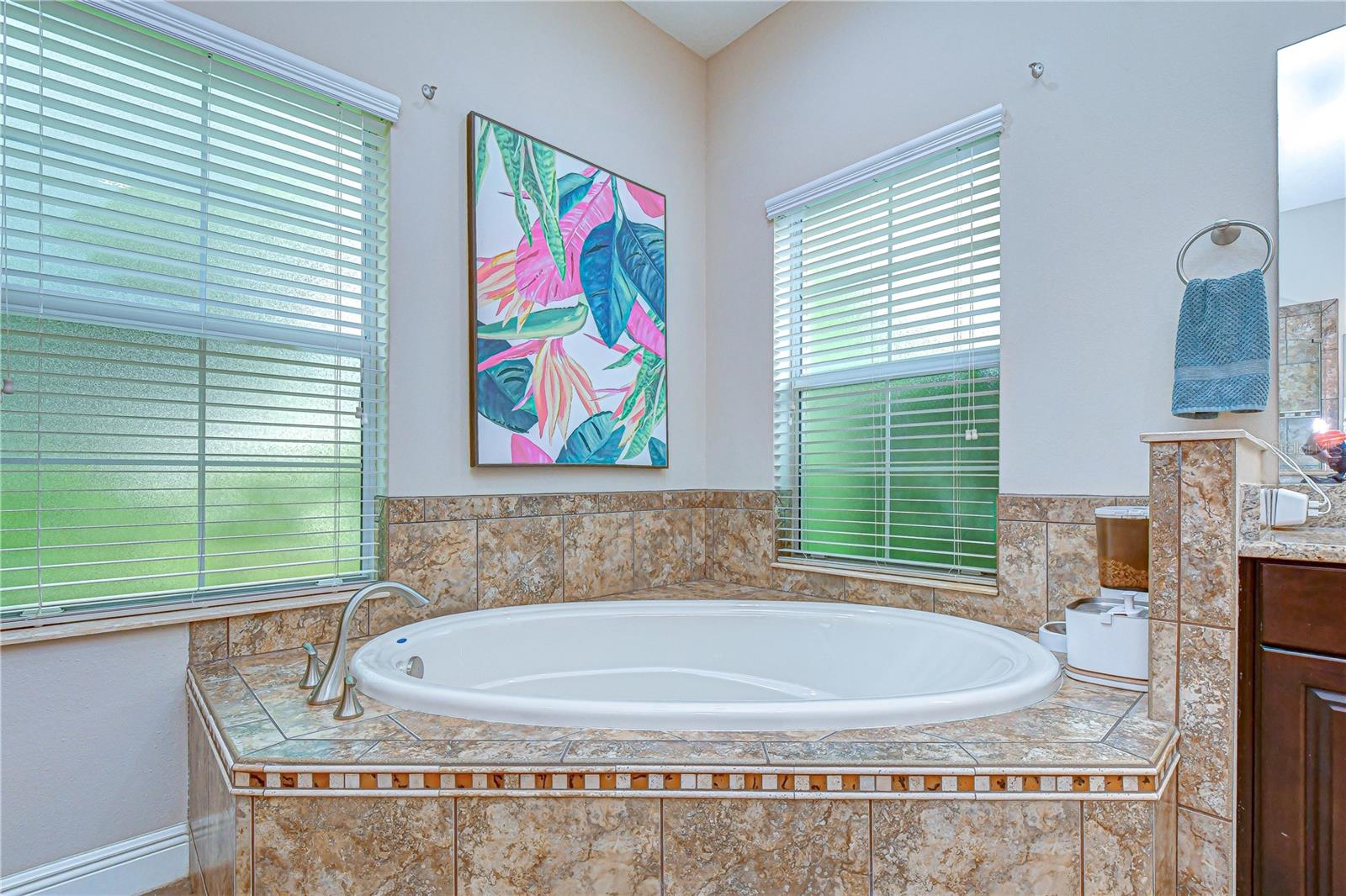5907 CHURCHSIDE DR, LITHIA, FL, 33547