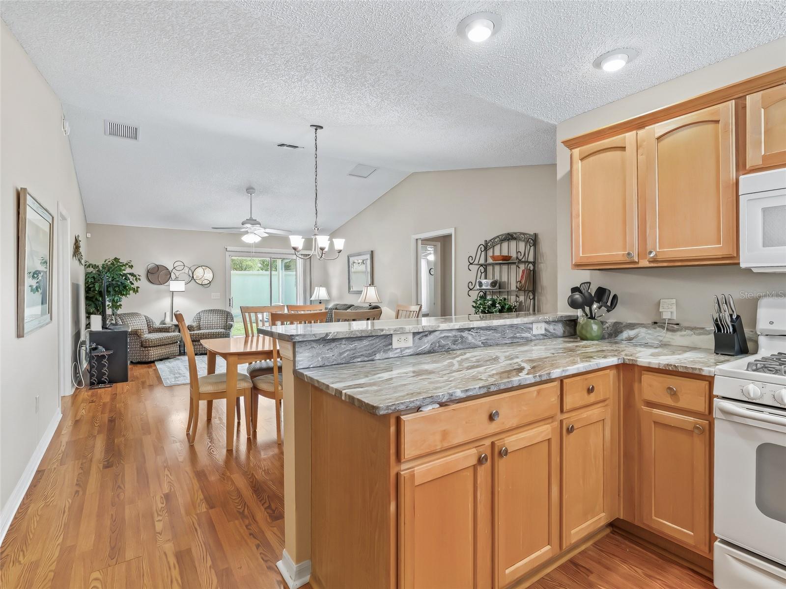 2369 FIVE FORKS TRL, THE VILLAGES, FL, 32162