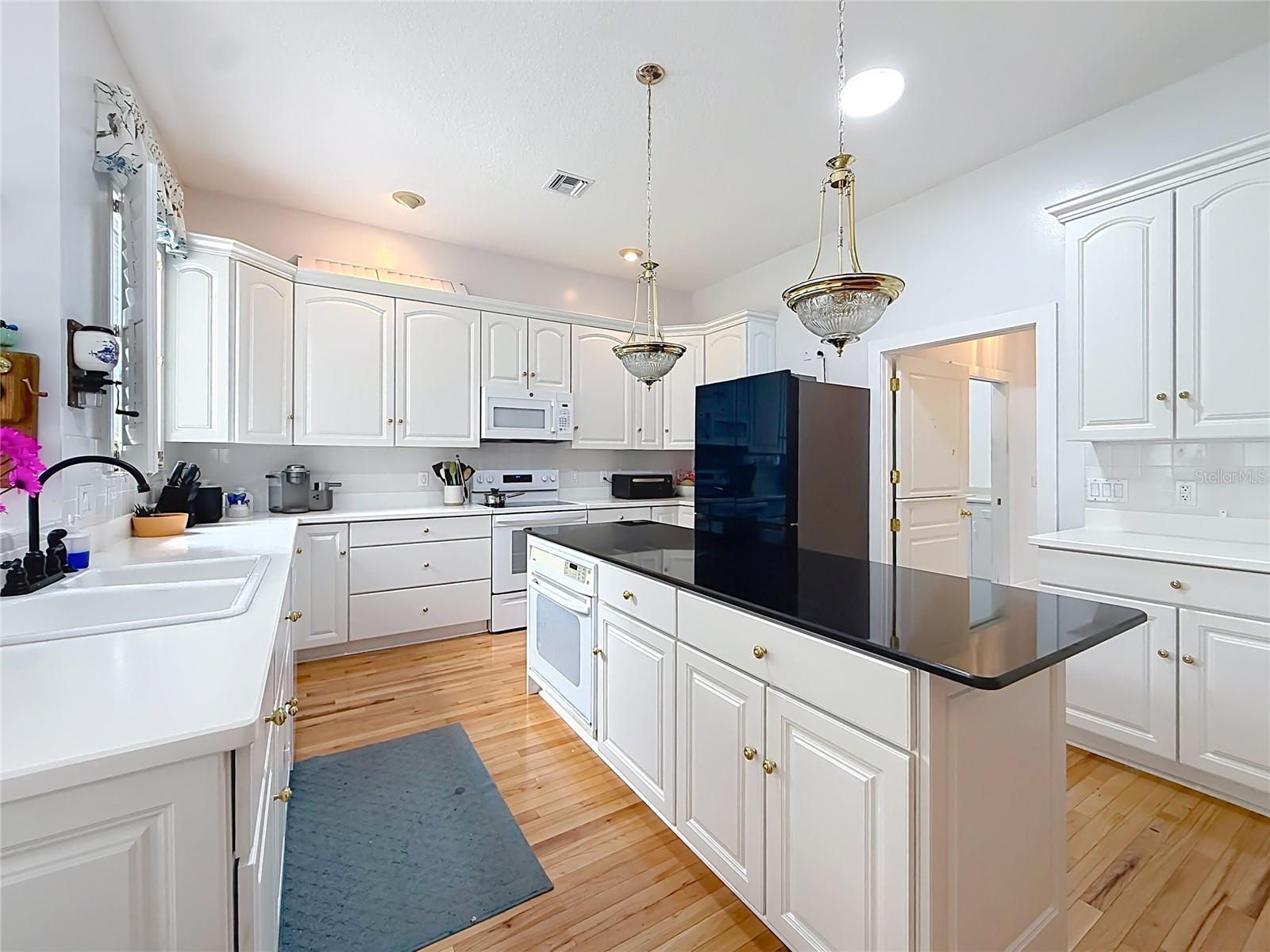 34122 PARK LN, LEESBURG, FL, 34788