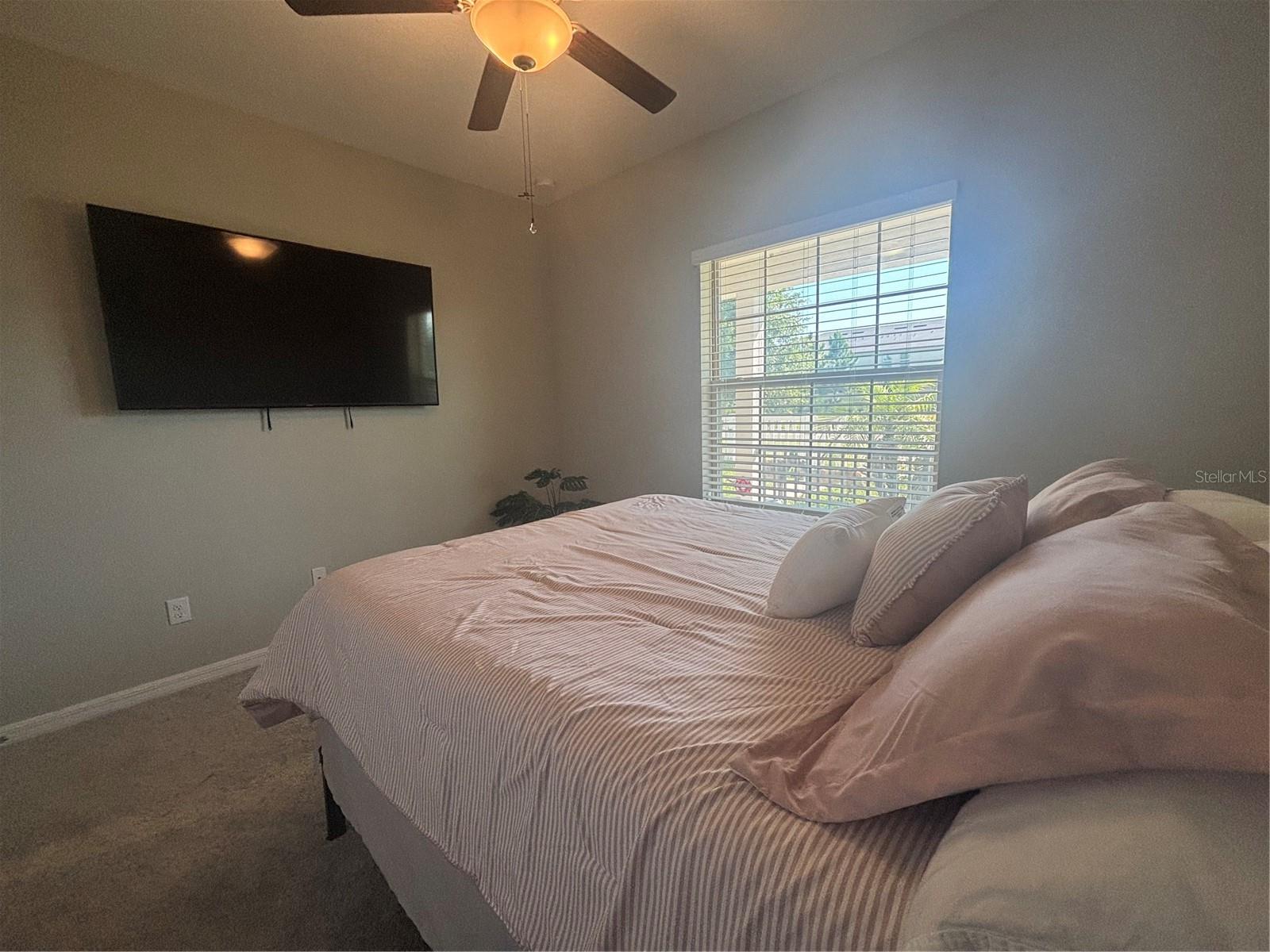 9601 FLOURISH DR, LAND O LAKES, FL, 34637